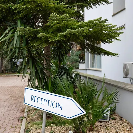 فندق Scheppers 3*